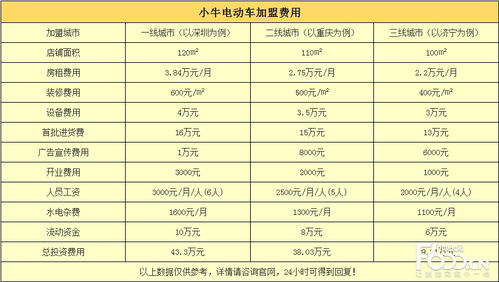 电商县级代理加盟指南