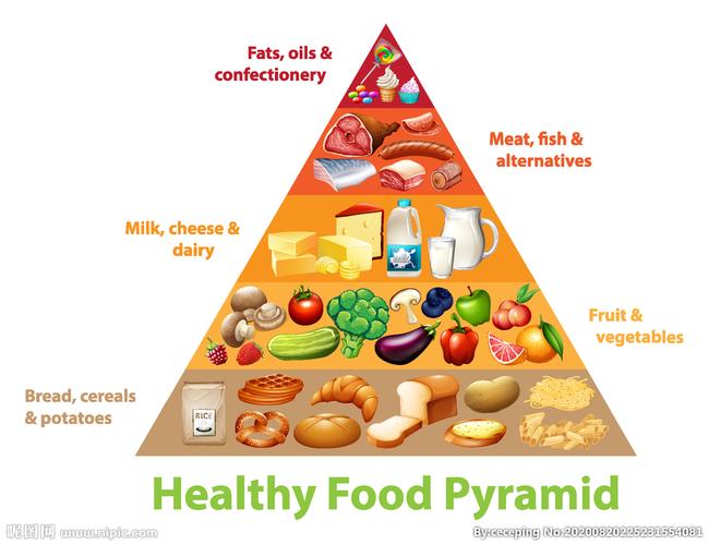 健康食品金字塔的图