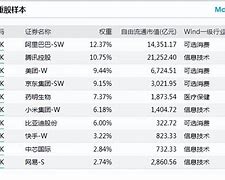 宜搜科技港股飙升上市以来的辉煌征程