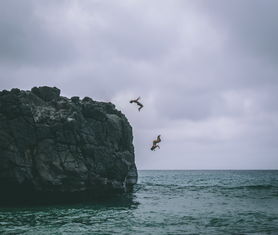 探索知识海洋的灯塔，深度解析湖州师范学院主页