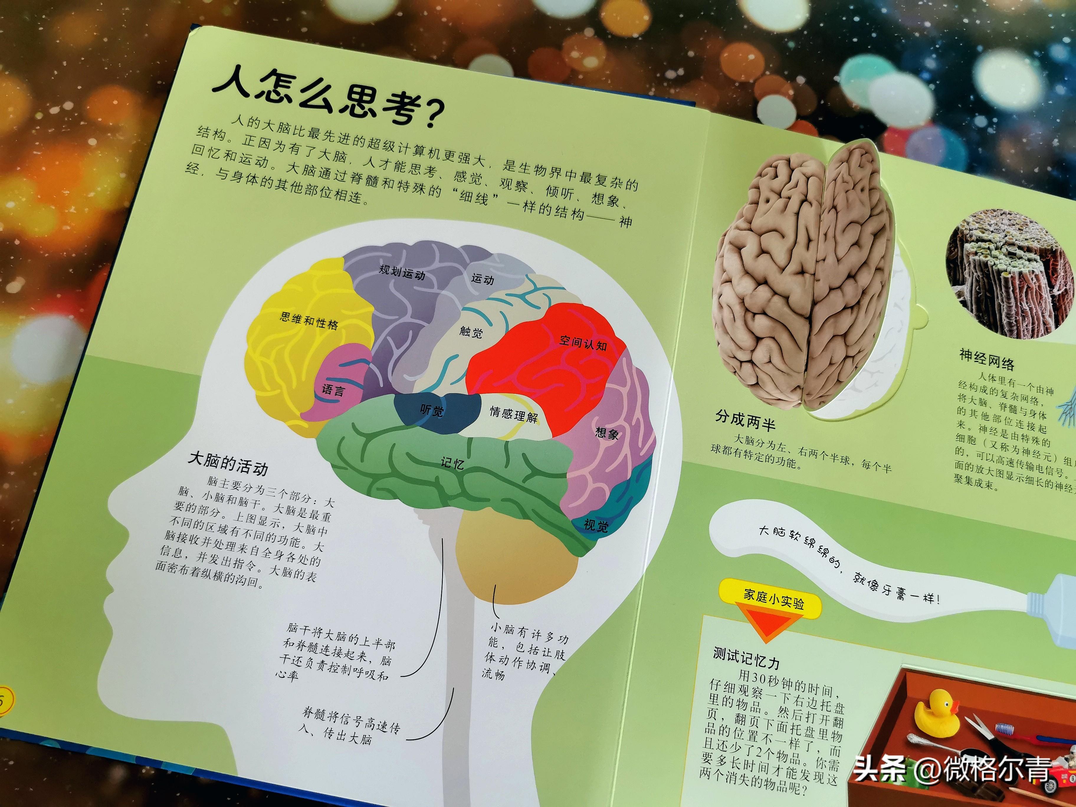 生活百科指什么?让日常更轻松快乐的实用指南 生活百科指什么?让日常更轻松快乐的实用指南