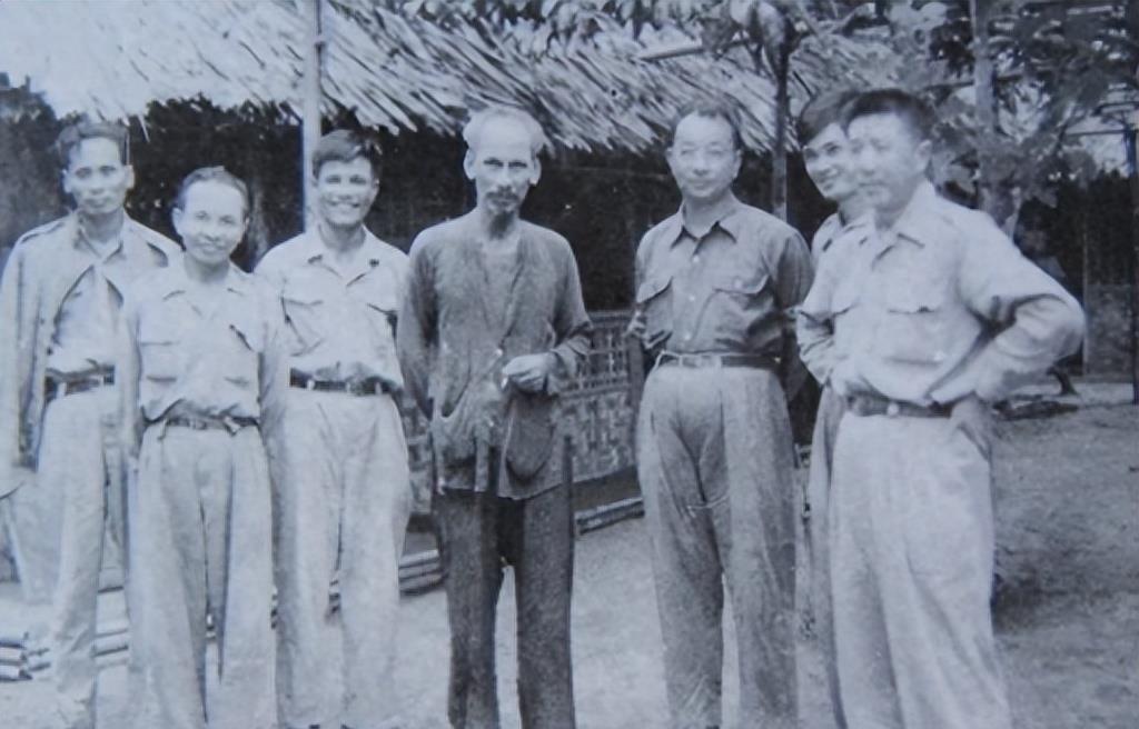 十万个为什么生活百科：解答日常疑惑，轻松获取生活智慧