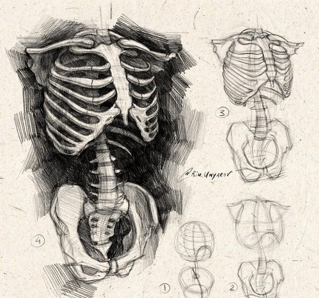 俄罗斯生活素材哪里可以找到？揭秘高效获取真实场景的实用技巧