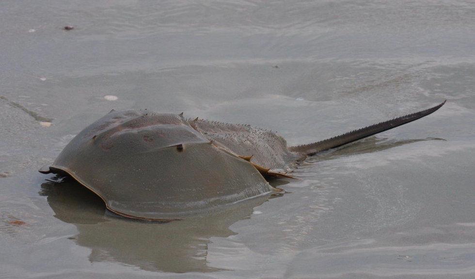 十万个为什么生活篇:揭秘日常现象背后的科学原理,让生活更轻松有趣 十万个为什么生活篇:揭秘日常现象背后的科学原理,让生活更轻松有趣