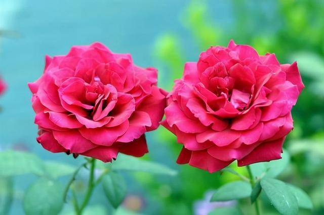 中年男在异世界网购生存指南:从零开始打造异世界舒适生活 中年男在异世界网购生存指南:从零开始打造异世界舒适生活