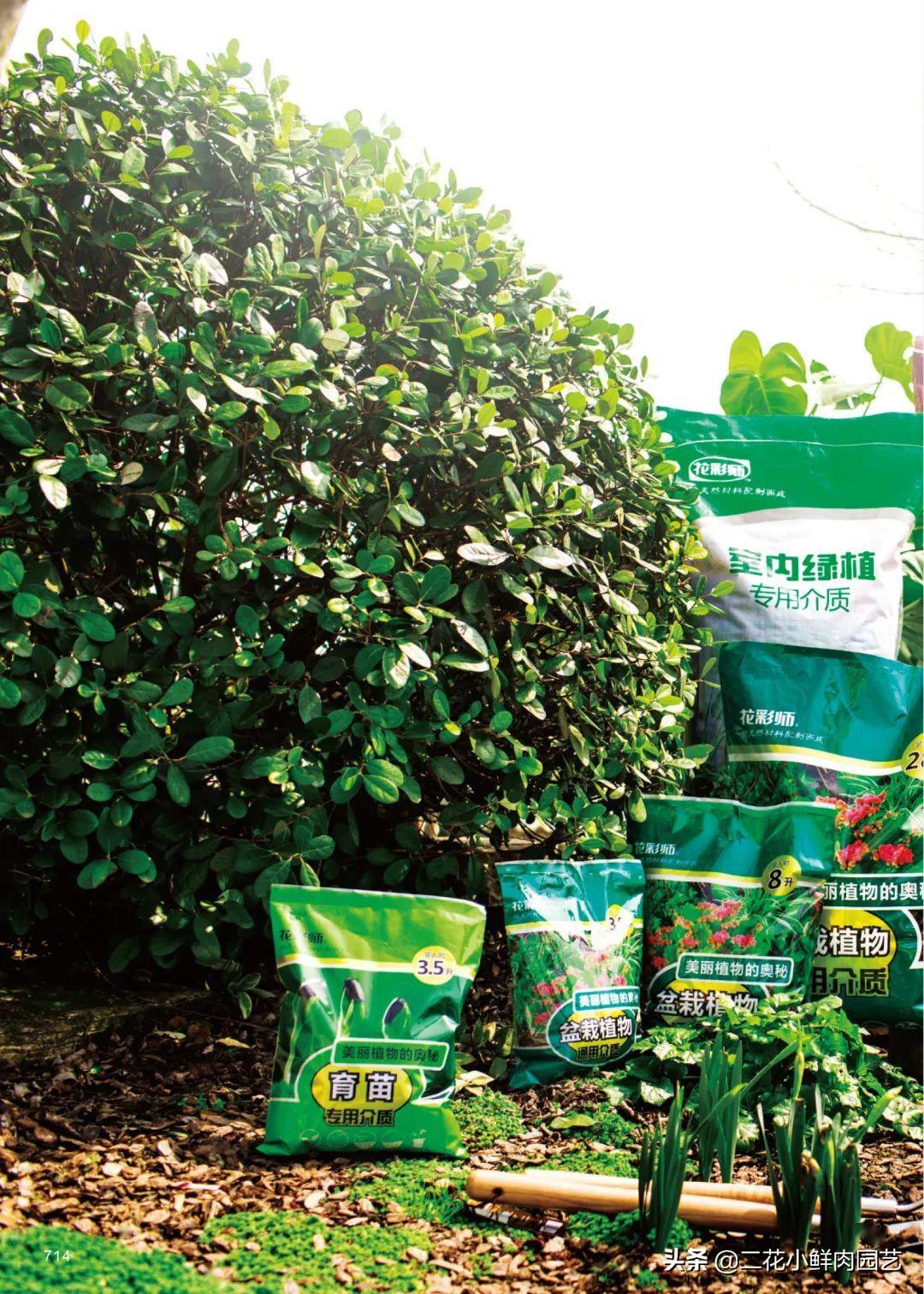 生活百科包含哪些？掌握这些实用技巧，让生活更轻松快乐！